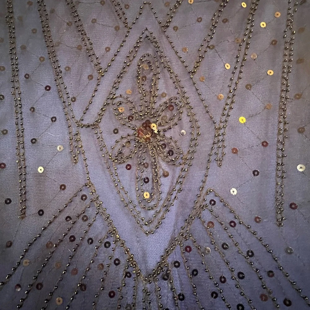 Women’s 20’s Gatsby Cocktail Sequin   Fringe Flapper Dress XXL - Picture 7 of 9